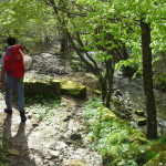 Casentino