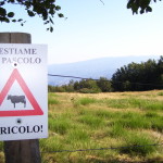 Casentino 1806