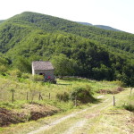 Casentino 1856