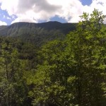 Casentino vista