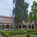 Cipresso di San Francesco - Villa Verucchio