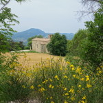 Convento di Sant'Igne Cresta dei Tausani San Leo-247