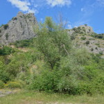 Cresta dei Tausani San Leo-351