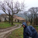 Fosso Canaiolo-594