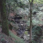 Gli Scalandrini - La Lama - Parco Casentino-01