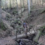 Gli Scalandrini - La Lama - Parco Casentino-04