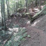 Gli Scalandrini - La Lama - Parco Casentino-08