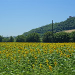 Gradara-96