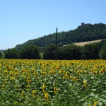 Gradara-97