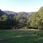 La Lama - Parco Casentino (2)