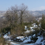 Maioletto 03