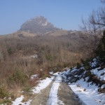 Maioletto 04