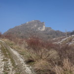 Maioletto 08