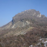 Maioletto 10