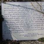 Maioletto 16
