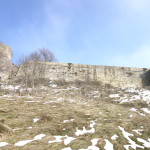 Maioletto 23