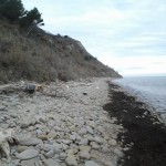 Parco San Bartolo 05 (2)