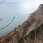 Parco San Bartolo 14