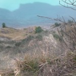 Parco San Bartolo 15
