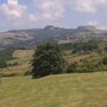 Parco Sasso Simone Simoncello 36