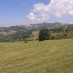 Parco Sasso Simone e Simoncello-28