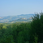 Pennabilli - Fosso Canaiolo - 645