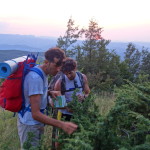 Pennabilli - M. Canale - 614