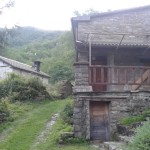 Pian del Grado - Casentino