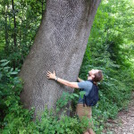 Quercia nella Cresta dei Tausani San Leo-361