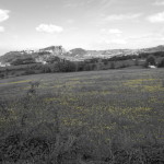 Rocca di Maioletto-2055
