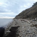 San Bartolo-05