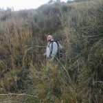 San Bartolo-07