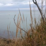 San Bartolo-08