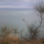 San Bartolo-13