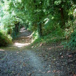 San Bartolo-462