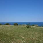 San Bartolo-503