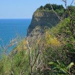 San Bartolo-514