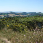 San Bartolo-534