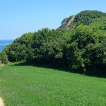 San Bartolo-542