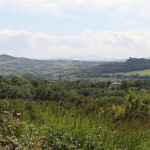 San Bartolo-813