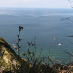San Bartolo-835