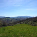 San Giovanni in Galilea-225