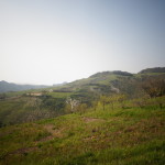 San Giovanni in Galilea-576