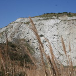 Vena del Gesso - Cava di Monticino_1160