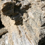 Vena del Gesso_1184