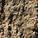 Vena del Gesso_1196
