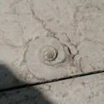Vena del Gesso_1213