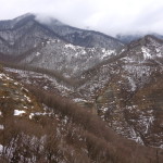 Verso Nasseto 3