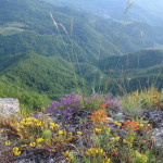 Verso Sassello - Casentino 29