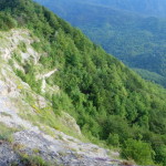 Verso Sassello - Casentino 31